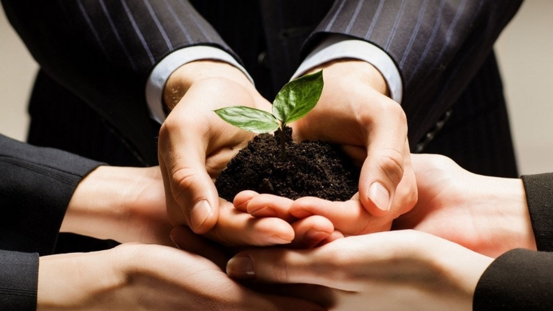 Establishing Vision And Future Orientation