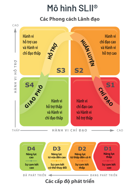 Slii Directive Chart SLII® | Lãnh đạo Linh Hoạt với Mô hình SLII® - Leading with The SLII ...