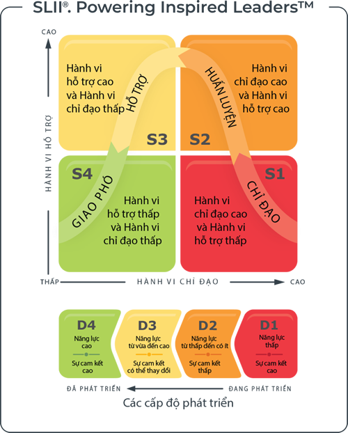 Slii Directive Chart SLII® | Kỹ năng Lãnh đạo SLII - The SLII Experience
