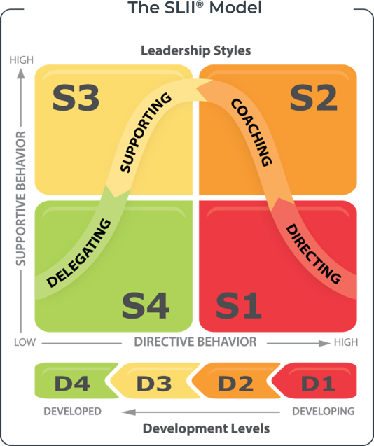 Slii Examples SLII® | The SLII Experience - Blanchard Vietnam