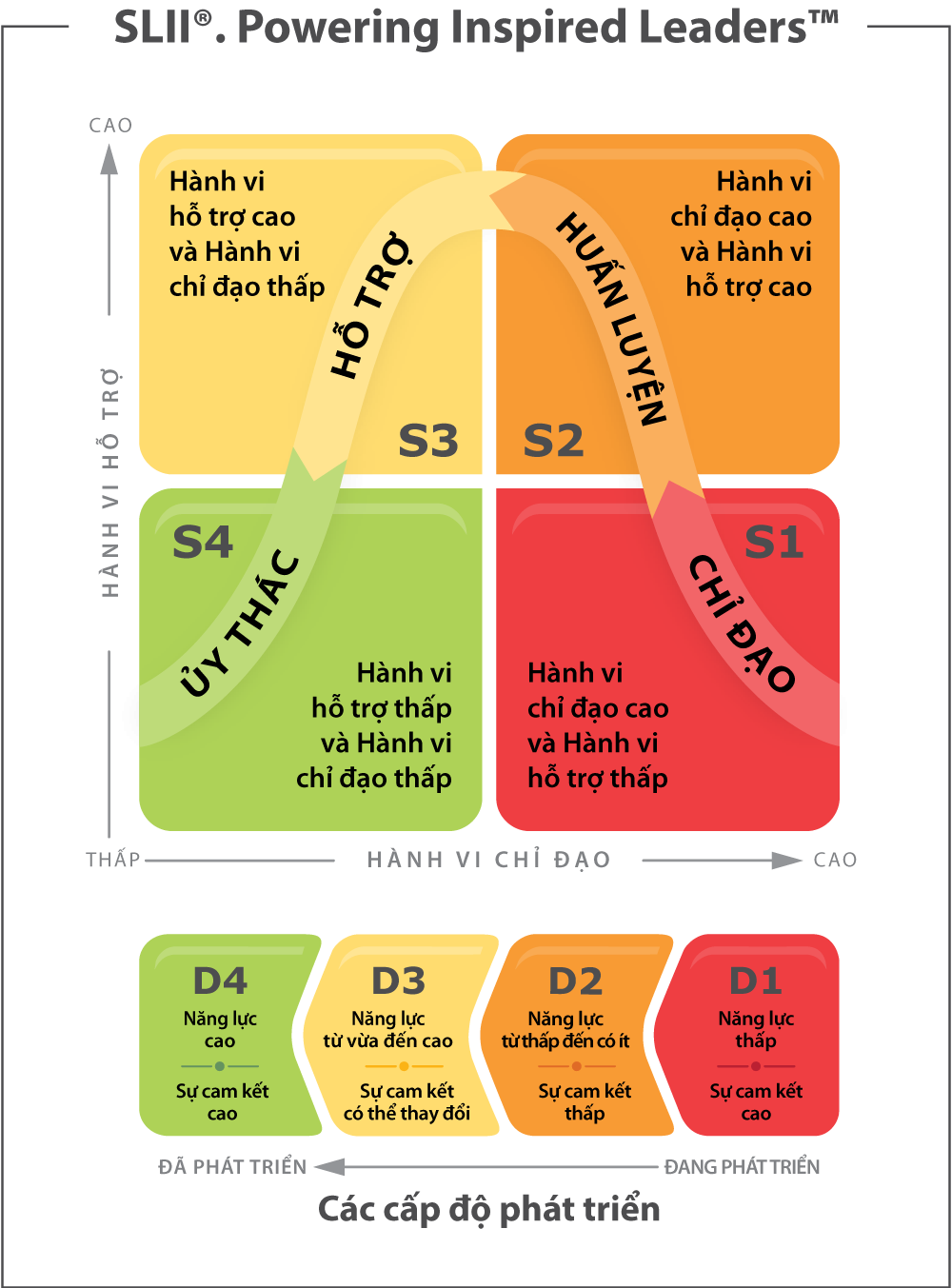 Slii Directive Chart SLII® | Kỹ năng Lãnh đạo SLII - The SLII Experience